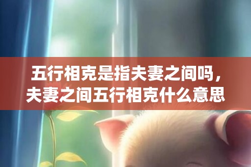 五行相克是指夫妻之间吗，夫妻之间五行相克什么意思(夫妻五行相克会有什么后果)
