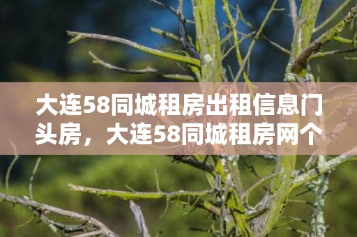 大连58同城租房出租信息门头房，大连58同城租房网个人房源？大连的租房方式有哪些