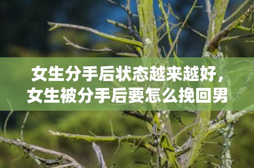 女生分手后状态越来越好，女生被分手后要怎么挽回男朋友 试试这样去做(分手后如何挽回男友最有效)