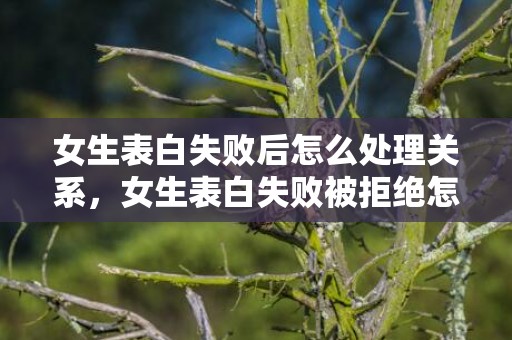 女生表白失败后怎么处理关系，女生表白失败被拒绝怎么办 教你这样处理，表白失败后女生还理你