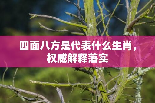 四面八方是代表什么生肖，权威解释落实