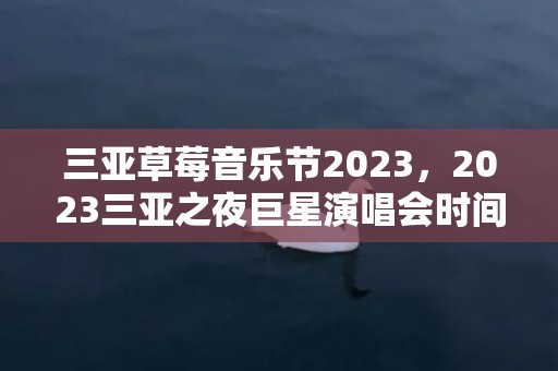 三亚草莓音乐节2023，2023三亚之夜巨星演唱会时间、地点、门票及座位图