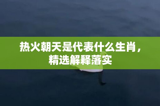热火朝天是代表什么生肖，精选解释落实