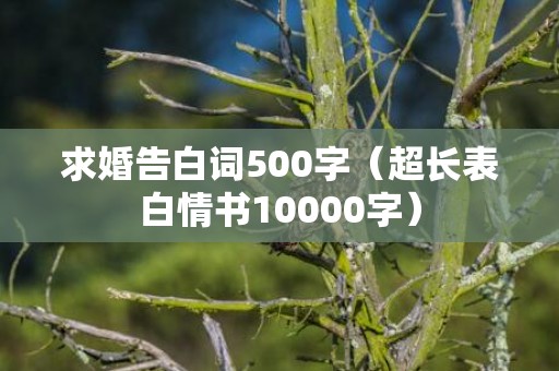 求婚告白词500字（超长表白情书10000字）