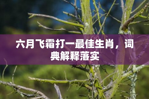 六月飞霜打一最佳生肖，词典解释落实