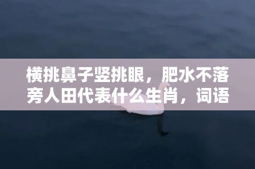 横挑鼻子竖挑眼，肥水不落旁人田代表什么生肖，词语精选落实