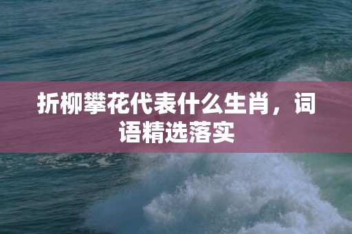 折柳攀花代表什么生肖，词语精选落实