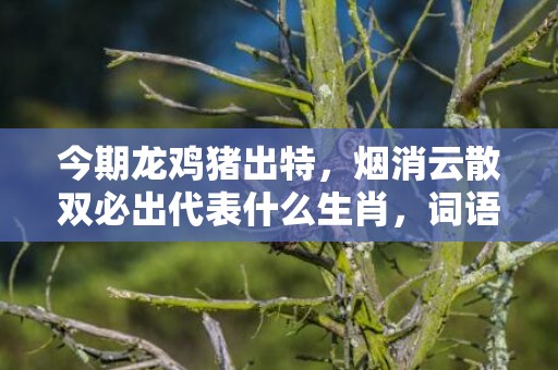 今期龙鸡猪出特，烟消云散双必出代表什么生肖，词语精选落实