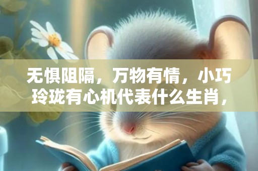 无惧阻隔，万物有情，小巧玲珑有心机代表什么生肖，词语精选落实