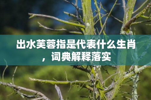 出水芙蓉指是代表什么生肖，词典解释落实