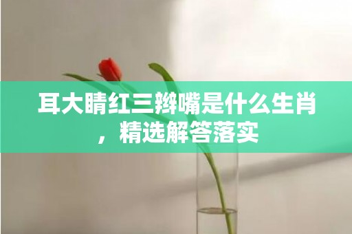 耳大睛红三辫嘴是什么生肖，精选解答落实