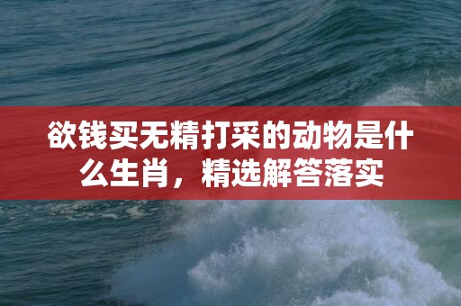 欲钱买无精打采的动物是什么生肖，精选解答落实