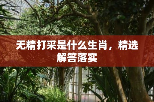 无精打采是什么生肖，精选解答落实