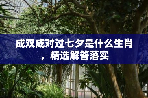 成双成对过七夕是什么生肖，精选解答落实
