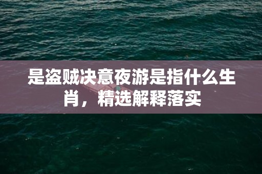 是盗贼决意夜游是指什么生肖，精选解释落实