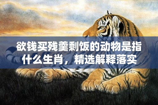 欲钱买残羹剩饭的动物是指什么生肖，精选解释落实