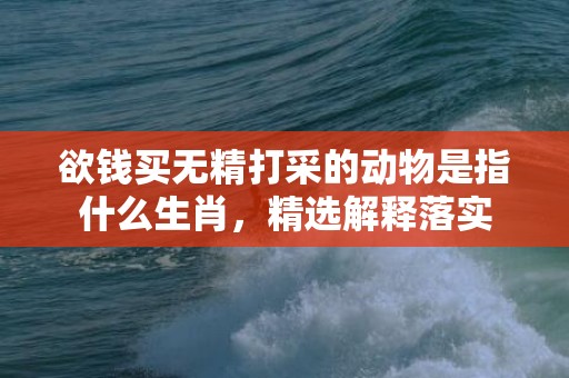 欲钱买无精打采的动物是指什么生肖，精选解释落实