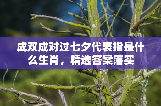 成双成对过七夕代表指是什么生肖，精选答案落实