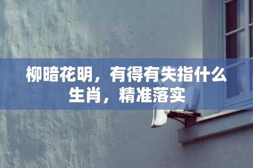 柳暗花明，有得有失指什么生肖，精准落实
