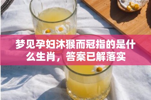 梦见孕妇沐猴而冠指的是什么生肖，答案已解落实