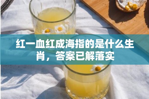红一血红成海指的是什么生肖，答案已解落实