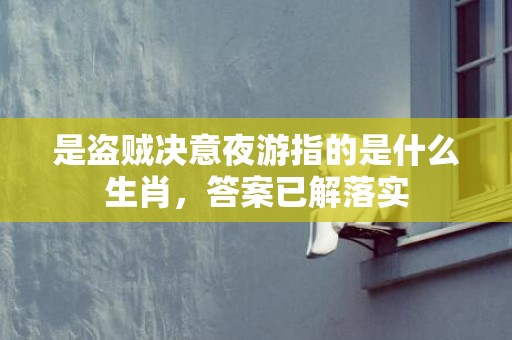 是盗贼决意夜游指的是什么生肖，答案已解落实