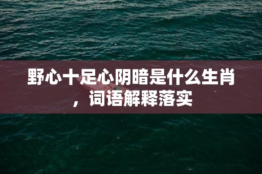 野心十足心阴暗是什么生肖，词语解释落实