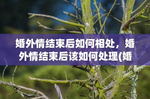 婚外情结束后如何相处，婚外情结束后该如何处理(婚外情结束后还联系)