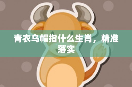 青衣乌帽指什么生肖，精准落实