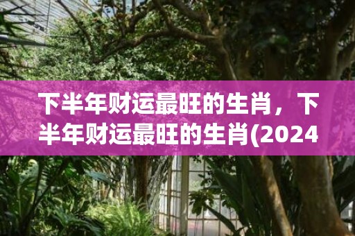 下半年财运最旺的生肖，下半年财运最旺的生肖(2024横财入命的四大生肖)