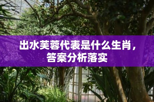 出水芙蓉代表是什么生肖，答案分析落实