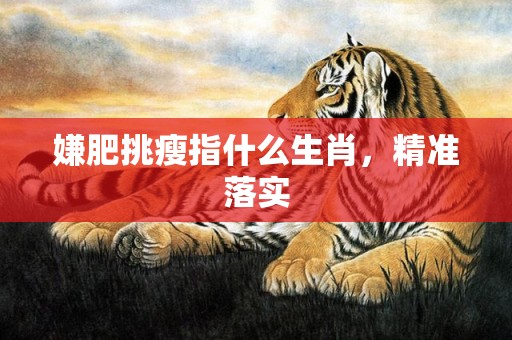 嫌肥挑瘦指什么生肖，精准落实