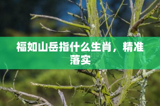 福如山岳指什么生肖，精准落实