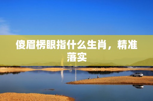 傻眉楞眼指什么生肖，精准落实