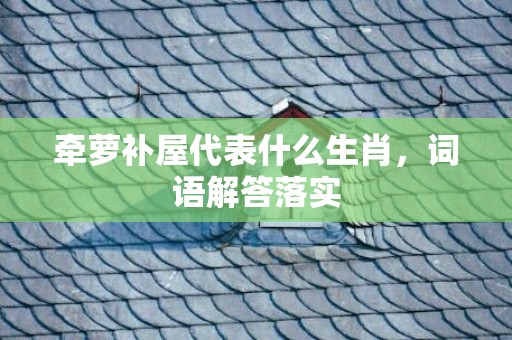 牵萝补屋代表什么生肖，词语解答落实