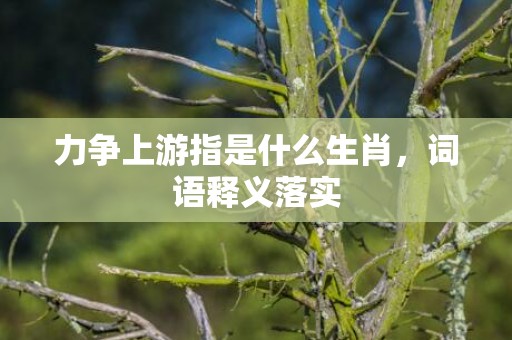 力争上游指是什么生肖，词语释义落实