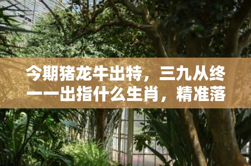 今期猪龙牛出特，三九从终一一出指什么生肖，精准落实