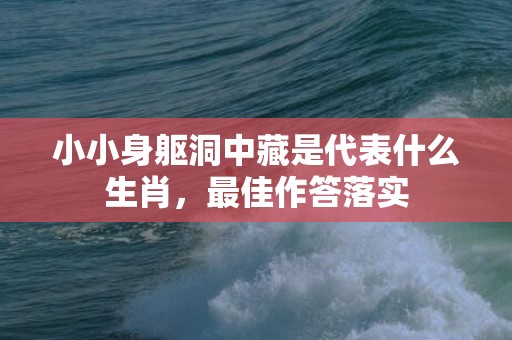 小小身躯洞中藏是代表什么生肖，最佳作答落实