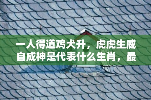 一人得道鸡犬升，虎虎生威自成神是代表什么生肖，最佳作答落实