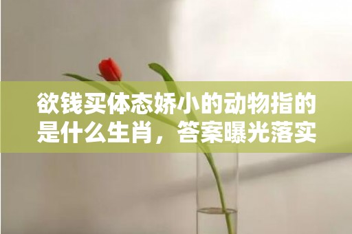 欲钱买体态娇小的动物指的是什么生肖，答案曝光落实