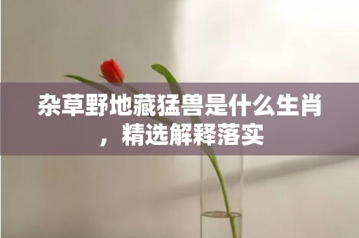 杂草野地藏猛兽是什么生肖，精选解释落实