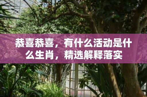 恭喜恭喜，有什么活动是什么生肖，精选解释落实