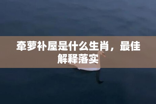 牵萝补屋是什么生肖，最佳解释落实