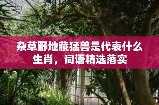 杂草野地藏猛兽是代表什么生肖，词语精选落实