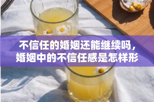 不信任的婚姻还能继续吗，婚姻中的不信任感是怎样形成的，夫妻不信任的婚姻都怎么样了