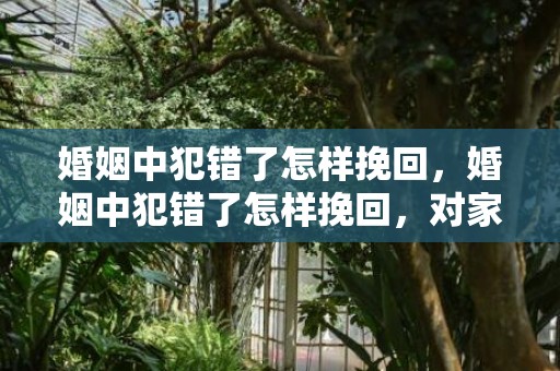 婚姻中犯错了怎样挽回，婚姻中犯错了怎样挽回，对家人犯错了如何挽回