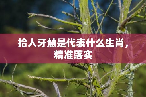 拾人牙慧是代表什么生肖，精准落实