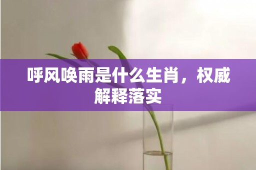 呼风唤雨是什么生肖，权威解释落实