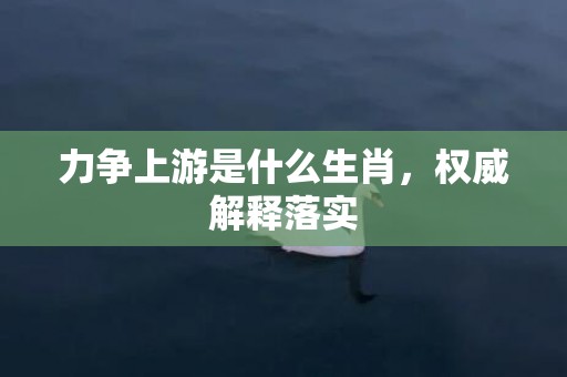 力争上游是什么生肖，权威解释落实