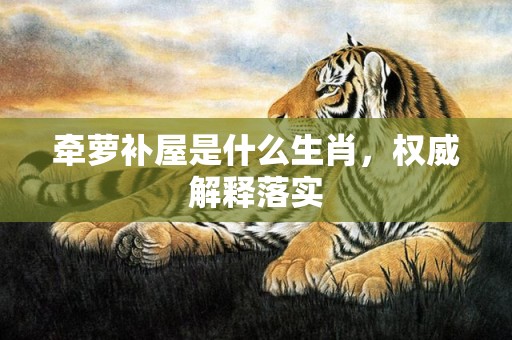 牵萝补屋是什么生肖，权威解释落实
